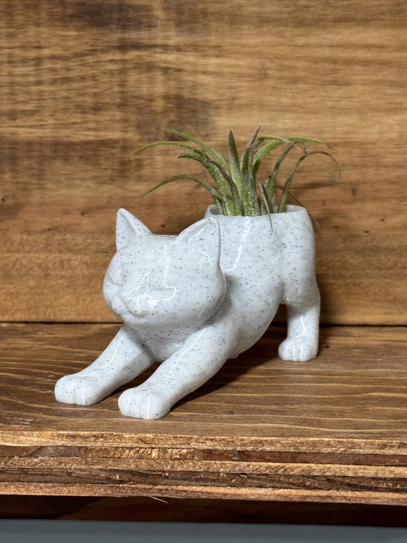 air plant gift
coworker gift
desk plant decor
3d printed planter
cat desk decor
small plant holder
funny plant gift
cat tail planter
plant gift for her

cat lover gift
Christmas gift for coworker
cat mom gift
stocking stuffer for her
cute office decor
Air plant holder
airplant
deck decor
cat decor