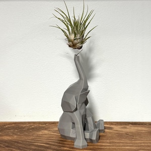 Elephant Air Plant Holder – Cute 3D Printed Planter with ‘Spraying Water’ Look, Fun Animal Decor for Desk or Nursery
