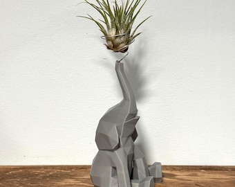 Elephant Air Plant Holder – Cute 3D Printed Planter with ‘Spraying Water’ Look, Fun Animal Decor for Desk or Nursery