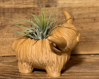 Highland Cow Air Plant Holder | Succulent | Home Decor | Flower Pot | Cute Planter | Cute Desk Decor | Work Decor | Gift | Air Plants