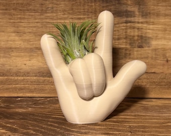 Cute Air Plant Holder, Desk Decor, Friend Gift, ASL Gift, I love you gift, Anniversary Gift