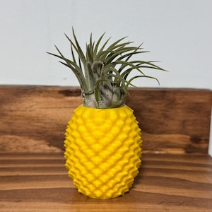 May include: A yellow pineapple-shaped planter with a green air plant growing inside. The planter is made of a textured material and has a spiky design.