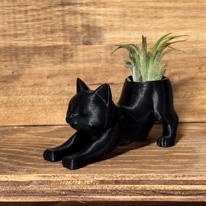 air plant gift
coworker gift
desk plant decor
3d printed planter
cat desk decor
small plant holder
funny plant gift
cat tail planter
plant gift for her

cat lover gift
Christmas gift for coworker
cat mom gift
stocking stuffer for her
cute office decor
Air plant holder
airplant
deck decor
cat decor