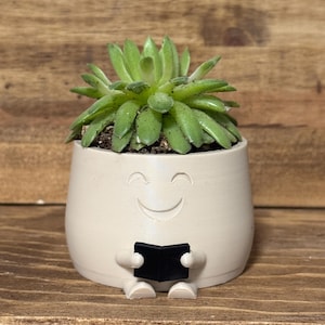 Happy Reading Plant Pot, Cute Teacher Appreciation Gift, Book Lover Decor, Book Worm Gift, Teacher Thank You Gift, Succulent Reading Planter