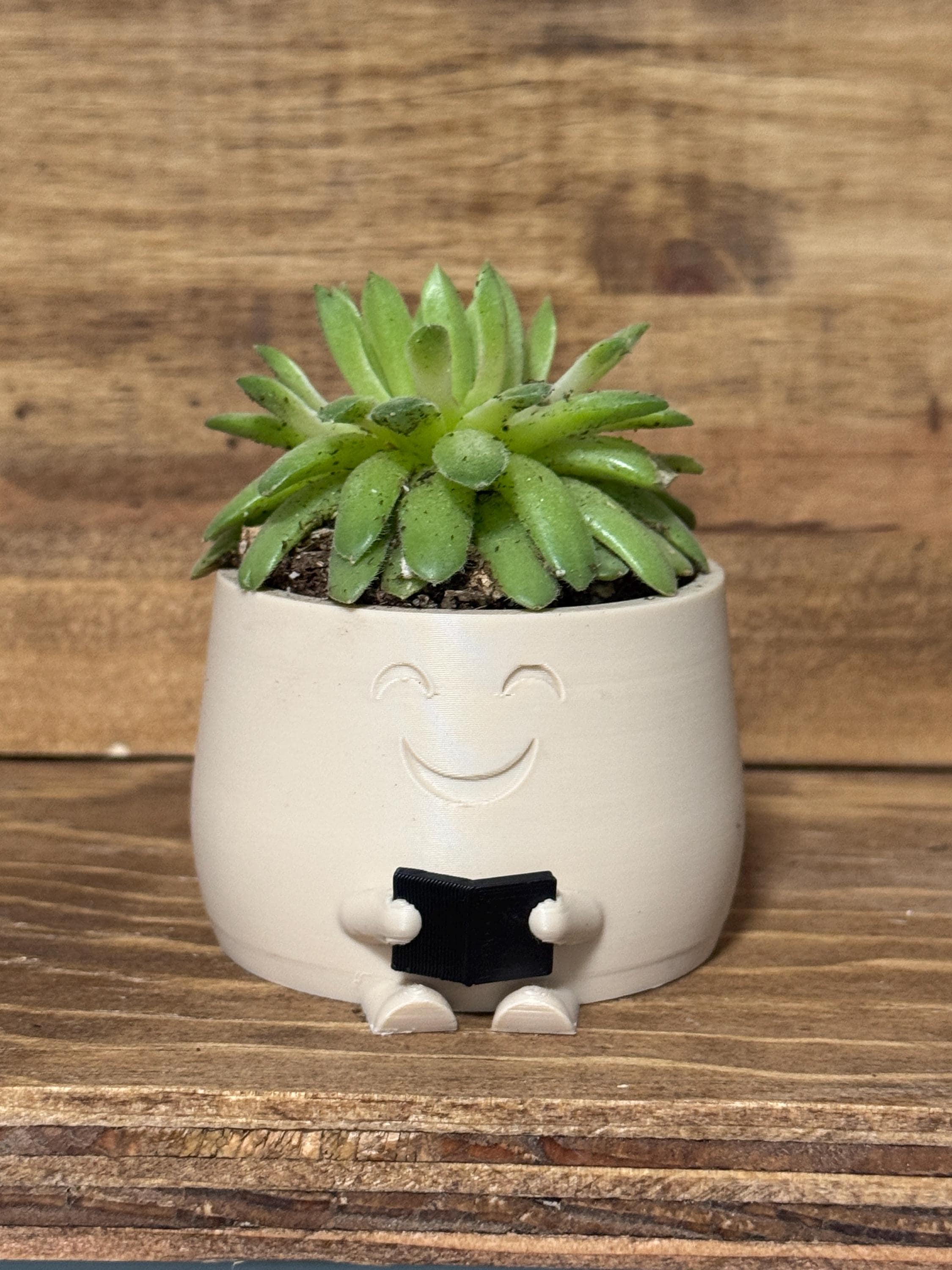 Happy Reading Plant Pot, Cute Teacher Appreciation Gift, Book Lover ...