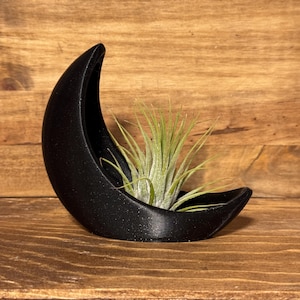 May include: A black crescent moon-shaped planter with a small air plant inside. The planter is made of a textured material and has a matte finish.