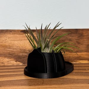 May include: A small air plant in a black 3D printed planter. The planter has a rounded base and a textured surface.
