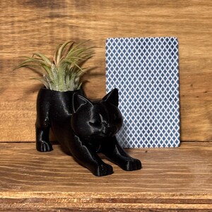 air plant gift
coworker gift
desk plant decor
3d printed planter
cat desk decor
small plant holder
funny plant gift
cat tail planter
plant gift for her

cat lover gift
Christmas gift for coworker
cat mom gift
stocking stuffer for her
cute office decor
Air plant holder
airplant
deck decor
cat decor