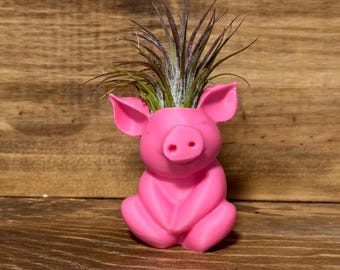 Cute Air Plant Holder, Pig Air Plant Holder, Pig Succulent Planter, Desk Air Plant Display, Desk Decor, Pig Lover, Pig Air Plant Planter