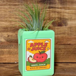 May include: A light green planter shaped like an apple juice carton, with a smiling red apple graphic and the text "APPLE JUICE". The planter holds a green air plant. The carton reads "100% Juice, 6.75 FL OZ (200 mL)."