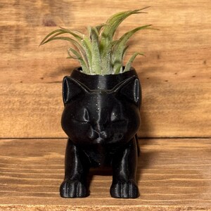 air plant gift
coworker gift
desk plant decor
3d printed planter
cat desk decor
small plant holder
funny plant gift
cat tail planter
plant gift for her

cat lover gift
Christmas gift for coworker
cat mom gift
stocking stuffer for her
cute office decor
Air plant holder
airplant
deck decor
cat decor