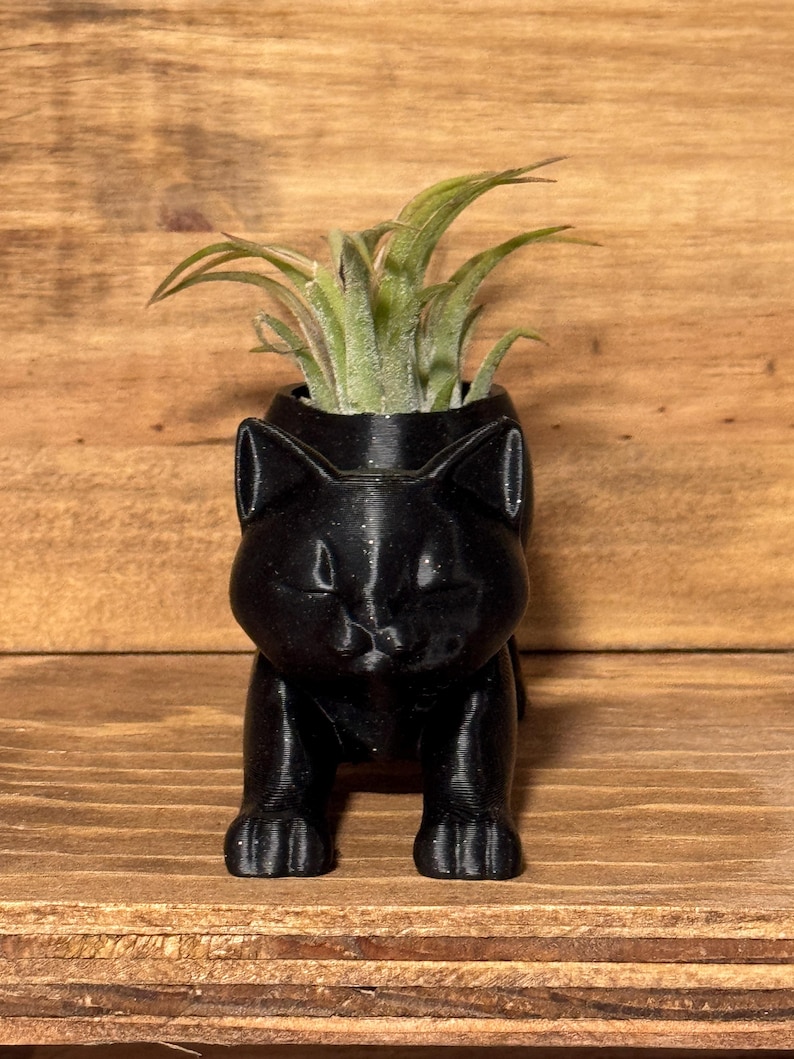 air plant gift
coworker gift
desk plant decor
3d printed planter
cat desk decor
small plant holder
funny plant gift
cat tail planter
plant gift for her

cat lover gift
Christmas gift for coworker
cat mom gift
stocking stuffer for her
cute office decor
Air plant holder
airplant
deck decor
cat decor