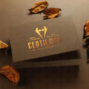 Biglietti da visita, carta marrone fantasy, biglietti da visita premium, carta nera fantasy, stampa dorata, intonacatura duplex, design personalizzato