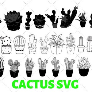 cactus svg, cactus svg fichiers pour cricut, succulent svg, fleur de cactus svg, utilisation commerciale, EPS, DXF, PNG