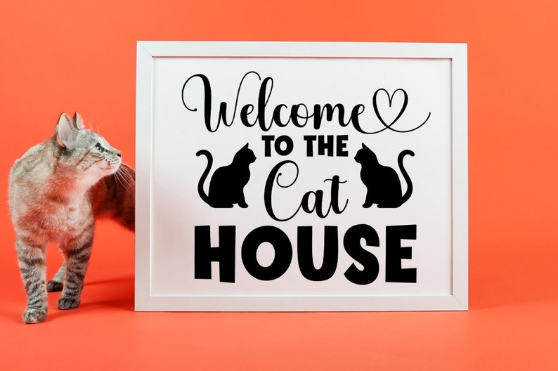 May include: White framed sign with black text that reads "Welcome to the Cat House" with two black cat silhouettes. A gray tabby cat is looking at the sign.