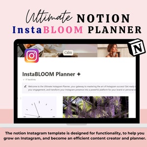 Notion Template Instagram Content Planner, Notion Social Media Planner, Digital Content Creator Template, Social Media Content Calendar, DFY