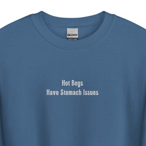 Hot Boys Have Stomach issues Unisex Sweatshirt