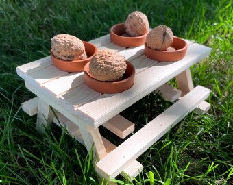 Eichhörnchen Picknicktisch