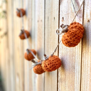 Pumpkin Garland