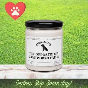Funny Cane Corso Owner Gift: 9oz Soy Wax Candle
