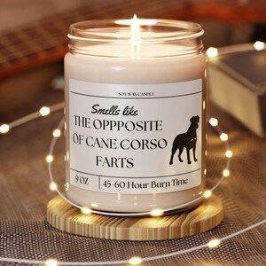 Smells Like the Opposite of Cane Corso Farts. Funny Cane Corso Owner Gift - Gift for Cane Corso Owner - Soy Wax Scented Candle