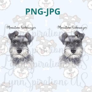 Envoltura de taza Schnauzer, Envoltura de taza Mini Schnauzer, Mini Schnauzer, Schnauzer, Envoltura Schnauzer, Envoltura Mini Schnauzer, Schnauzer Minature Schnauzer