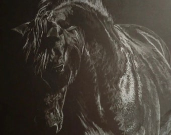 Original color pencil drawing, ”Black Horse”