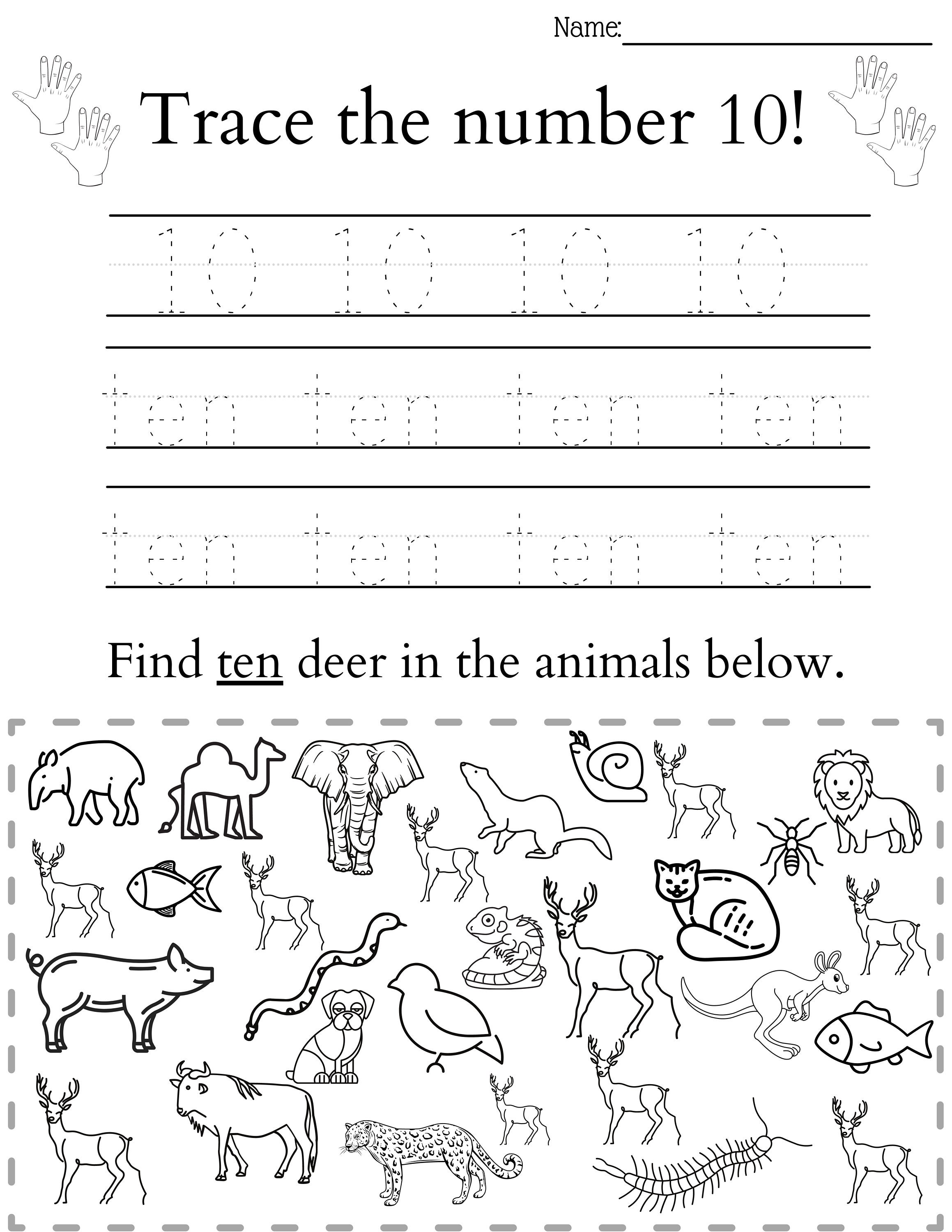 Learn to write spell and count numbers one through ten for | Etsy