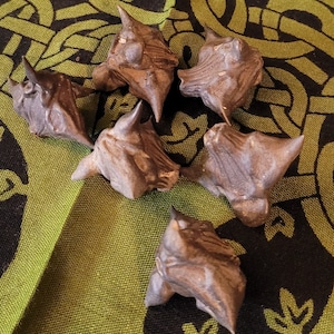 May include: Six brown water caltrops, also known as buffalo nuts, are displayed on a green and black patterned fabric. The caltrops have a distinctive shape with sharp, horn-like projections.