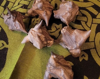 Devil Pods, Bat Nuts, Water Chestnuts, Caltrops, Occult, Witchcraft, Witch, Spells,, Magick