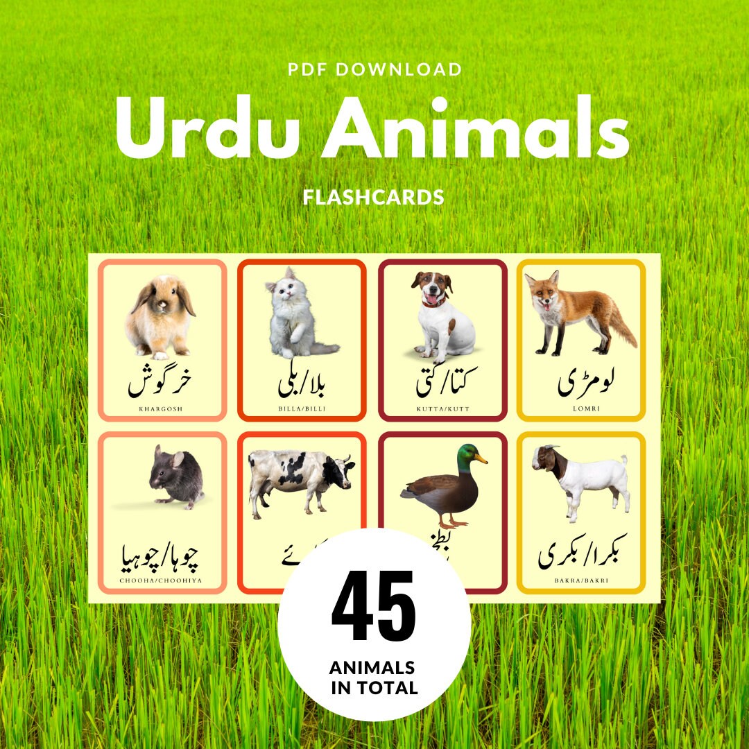 Urdu Animal Vocabulary Flashcards Montessori Educational - Etsy Urdu Animal Vocabulary Flashcards Montessori Educational - Etsy
