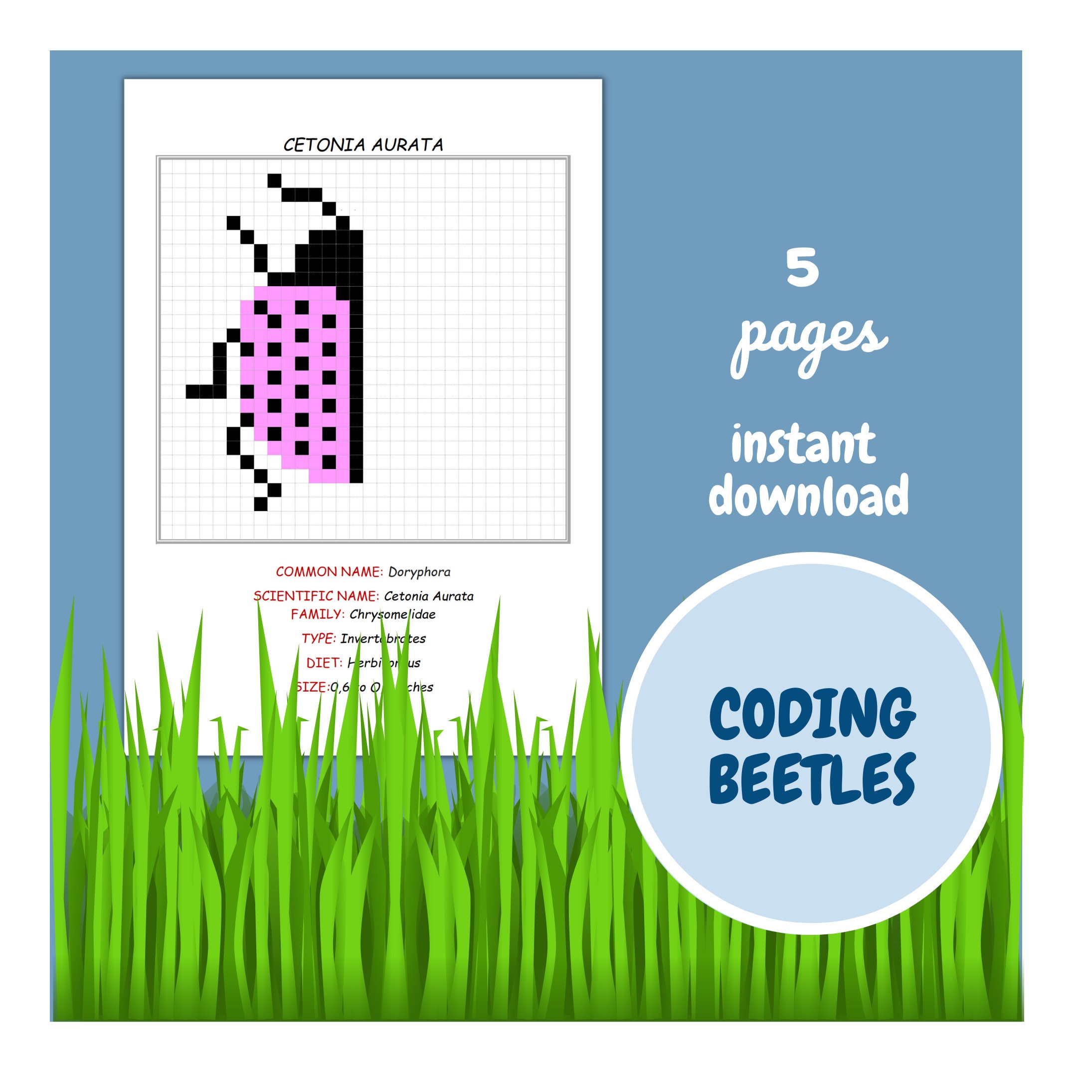 5 Printable Beetlethemed Activity Sheets, Color Coding, Kids Activities ...