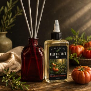 Reed Oil Diffuser Set With Recycled Colored Glass Bottle