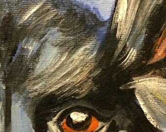 キャンバスに描かれた犬の油絵、手描きのオリジナル、サイズ 12 x 12