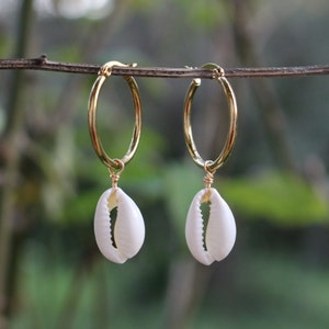 Puede incluir: Aretes de aro dorados con un dije de concha de cauri blanca colgando de cada aro.