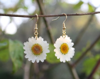 Fleurs de Marguerites blanches véritables séchées et pressées dans résine, Boucles oreilles florales plaqué or 14k minimaliste