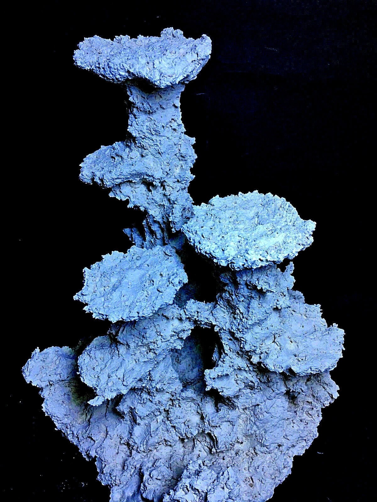 Real Reef Rock for sale 39 ads for used Real Reef Rocks