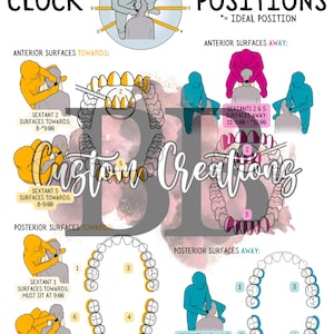 May include: Diagram illustrating dental clock positions for right-handed practitioners. The image shows diagrams of teeth, patients, and practitioners, with text indicating ideal positions for various dental procedures. The text includes "Clock Positions" and "Anterior Surfaces Towards".