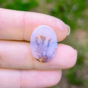 Large Dendritic Agate, Loose