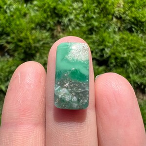 Lucien Variscite Cab