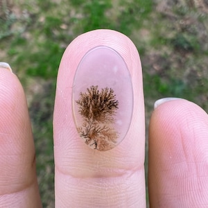 Dendritic Agate, Loose Stone
