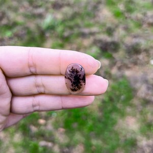 Large Dendritic Agate, Loose