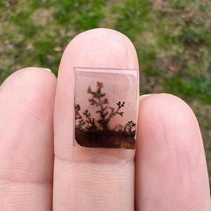 Dendritic Agate, Loose Stone