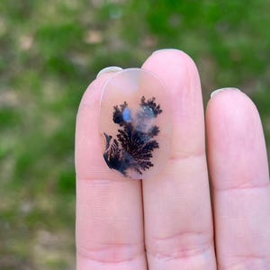 Large Dendritic Agate, Loose