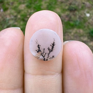 Dendritic Agate, Loose Stone
