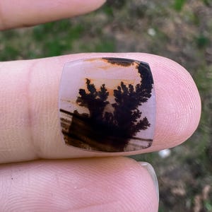 Dendritic Agate, Loose Stone