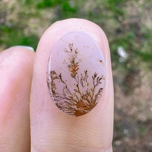 Dendritic Agate, Loose Stone