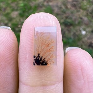 Dendritic Agate, Loose Stone