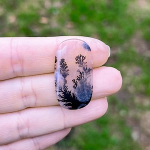 Large Dendritic Agate, Loose