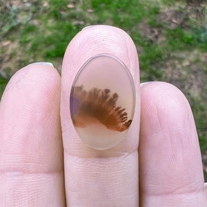 Dendritic Agate, Loose Stone